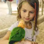 Półkolonia Letnia 2022