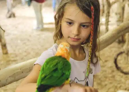 Półkolonia Letnia 2022