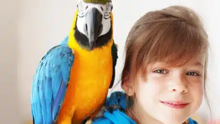 Półkolonia Animal Week